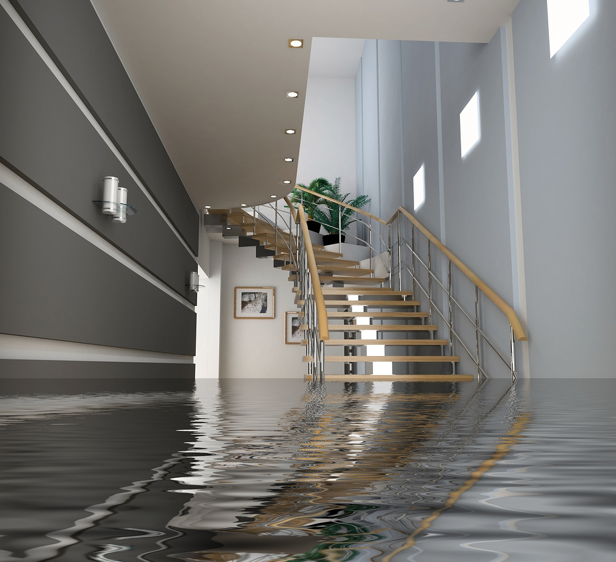 Pumping Water Out Of Your Basement, What Is Covered In A Flooded Basement Floor Plan