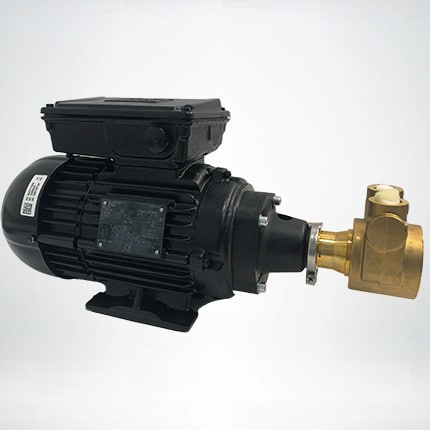 WEG Electric Motor 0.75kW with coupling, adaptor, and PA500-1000 pump attached (pump is the brass with or without relief valve)