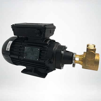WEG Electric Motor 0.75kW with coupling, adaptor, and PA500-1000 pump attached (pump is the brass with or without relief valve)